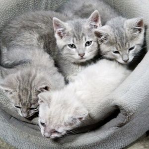 Meet your Posher, Barb